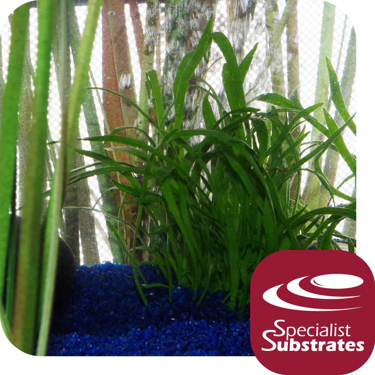 Dusky Pink Aquarium Sand Marine Arts MarineArts